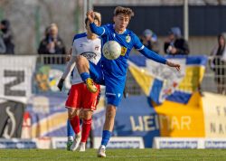 ZFC Meuselwitz FC Carl Zeiss Jena 23112024 13